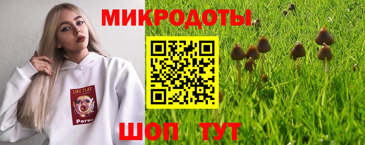 Галлюциногенные грибы MAGIC MUSHROOMS  хочу   Галлюциногенные грибы Magic Shrooms  Долгопрудный  Вход с VPN 