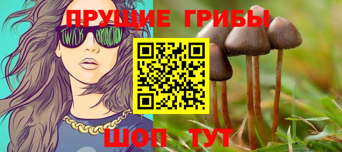 Псилоцибиновые грибы MAGIC MUSHROOMS Долгопрудный